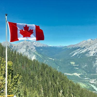Trump suspendă temporar taxele vamale pentru producătorii auto din Mexic și Canada