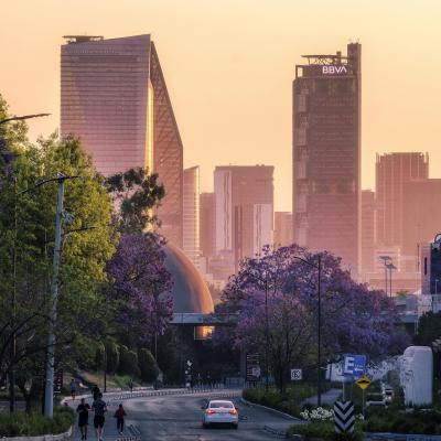 BBVA lansează tranzacționarea cripto